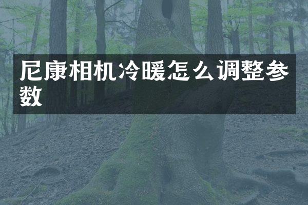 尼康相机冷暖怎么调整参数