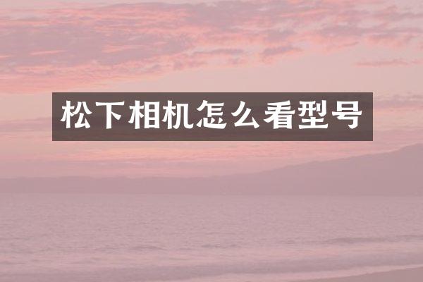 相机怎么看型号