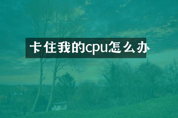 卡住我的cpu怎么办