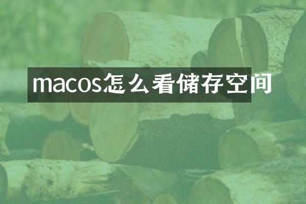 macos怎么看储存空间