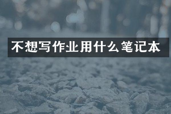 不想写作业用什么笔记本