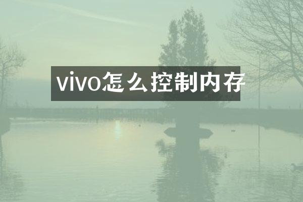 vivo怎么控制内存