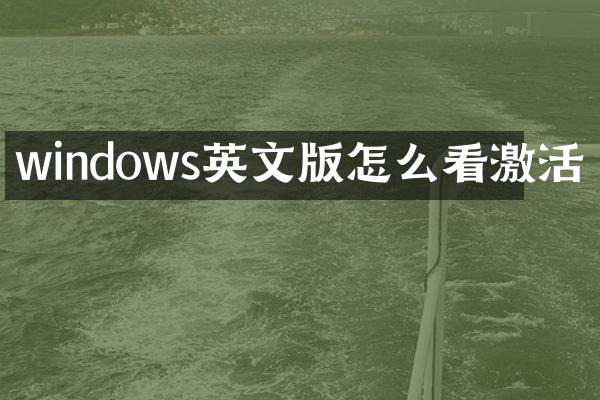 windows英文版怎么看激活