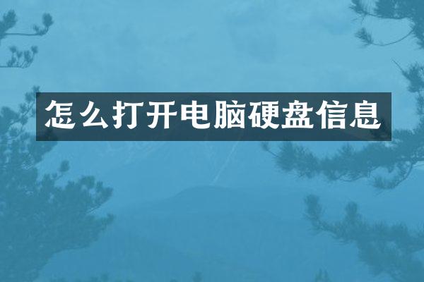 怎么打开电脑硬盘信息