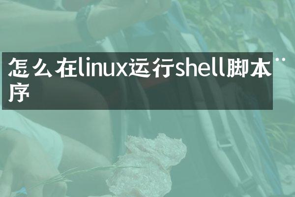 怎么在linux运行shell脚本程序