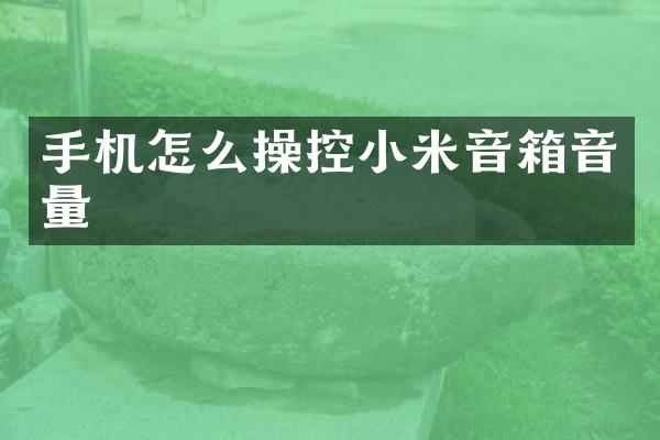 手机怎么操控小米音箱音量