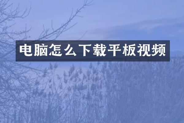 电脑怎么下载平板视频