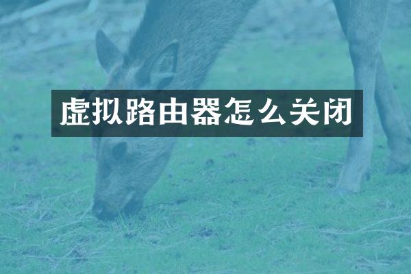 虚拟路由器怎么关闭
