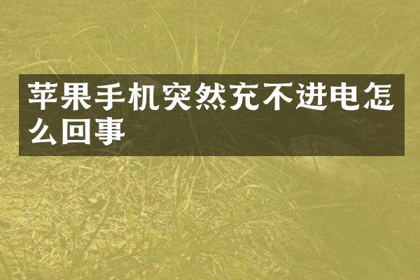 苹果手机突然充不进电怎么回事