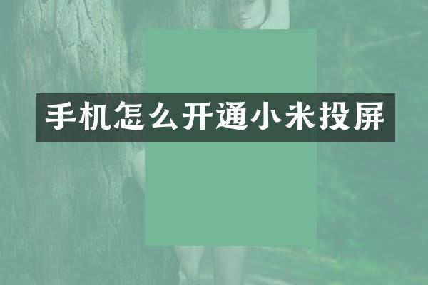 手机怎么开通小米投屏