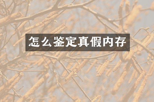 怎么鉴定真假内存