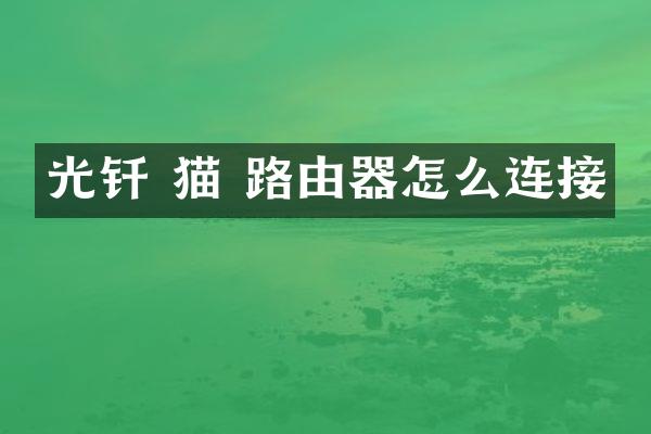 光钎 猫 路由器怎么连接