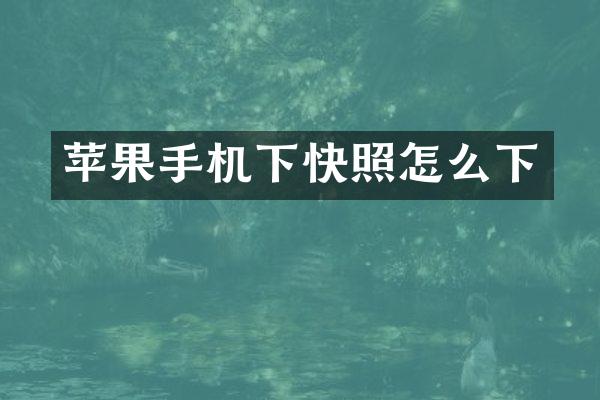 苹果手机下快照怎么下