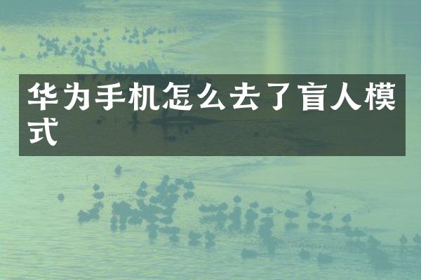 华为手机怎么去了盲人模式