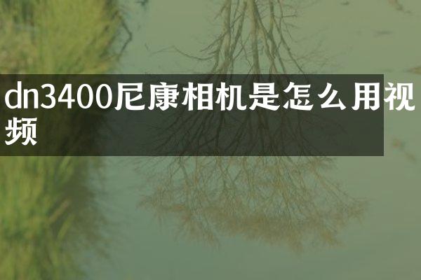 dn3400尼康相机是怎么用视频
