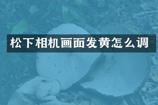 相机画面发黄怎么调