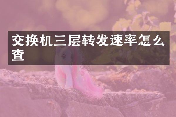交换机三层转发速率怎么查
