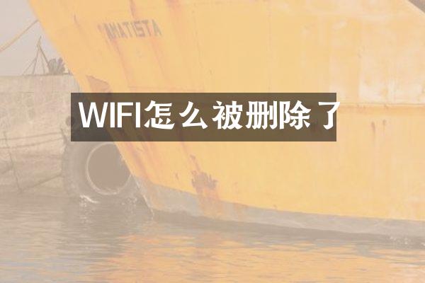 WIFI怎么被删除了