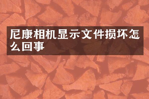 尼康相机显示文件损坏怎么回事