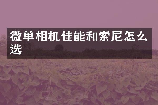 微单相机佳能和怎么选