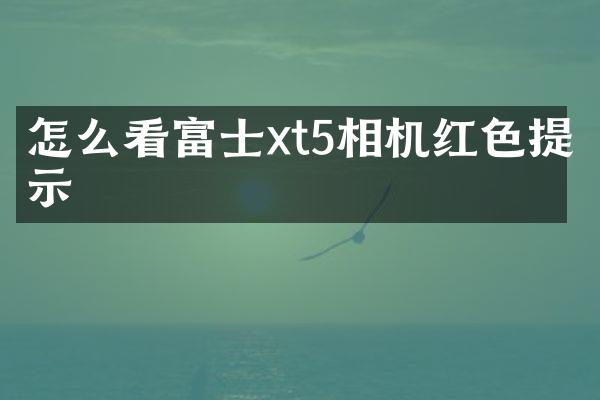怎么看富士xt5相机红色提示