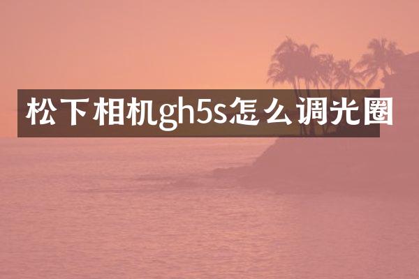 相机gh5s怎么调光圈