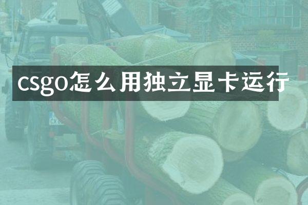 csgo怎么用独立显卡运行