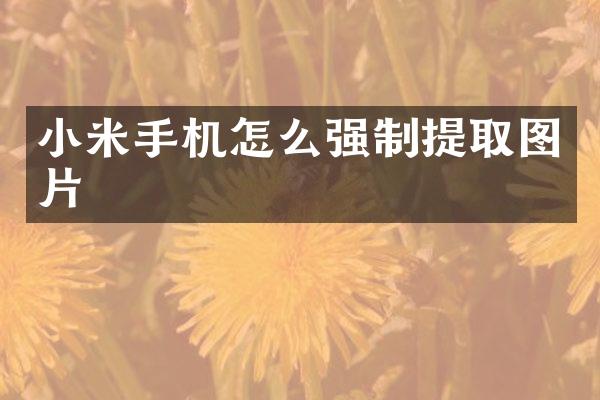 小米手机怎么强制提取图片