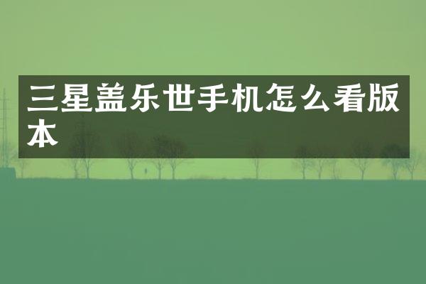 三星盖乐世手机怎么看版本