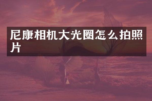 尼康相机大光圈怎么拍照片