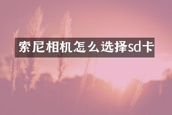 相机怎么选择sd卡