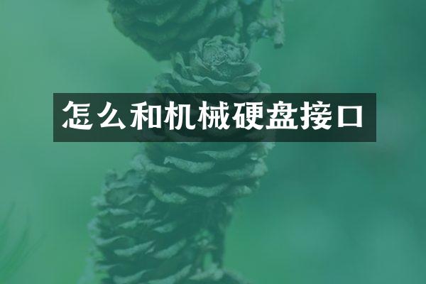 怎么和机械硬盘接口