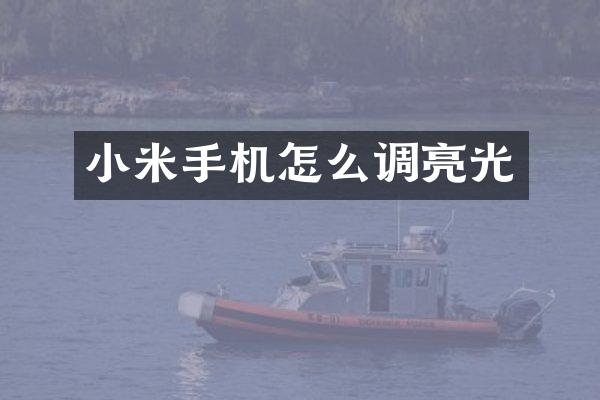 小米手机怎么调亮光
