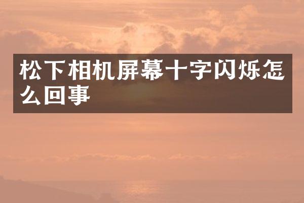 相机屏幕十字闪烁怎么回事