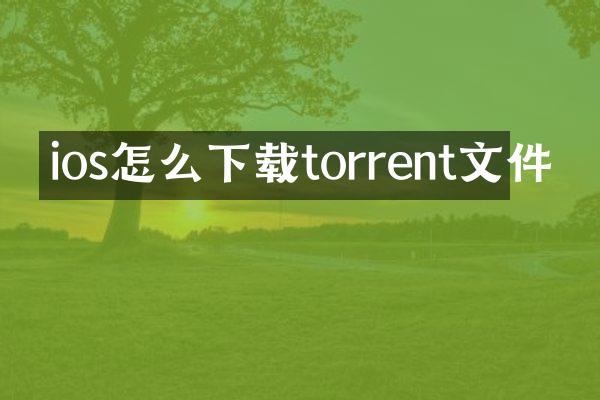 ios怎么下载torrent文件