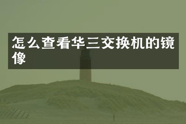 怎么查看华三交换机的镜像