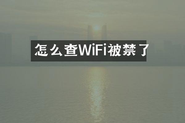 怎么查WiFi被禁了