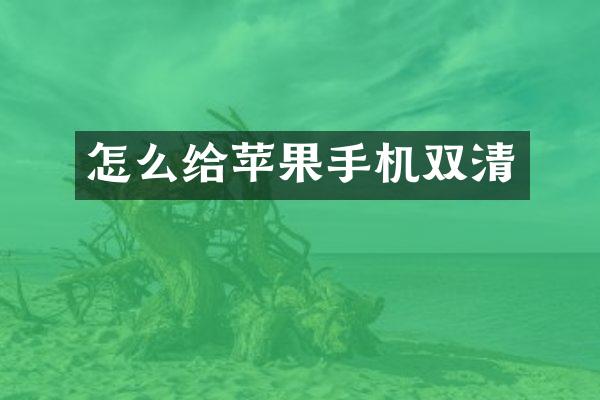 怎么给苹果手机双清