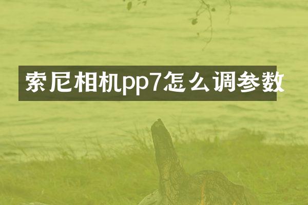 相机pp7怎么调参数