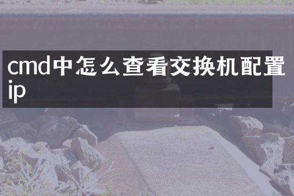 cmd中怎么查看交换机配置ip