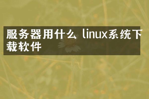 服务器用什么 linux系统下载软件