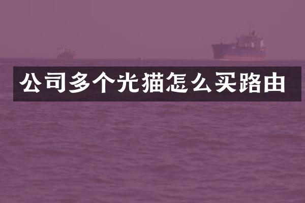 公司多个光猫怎么买路由