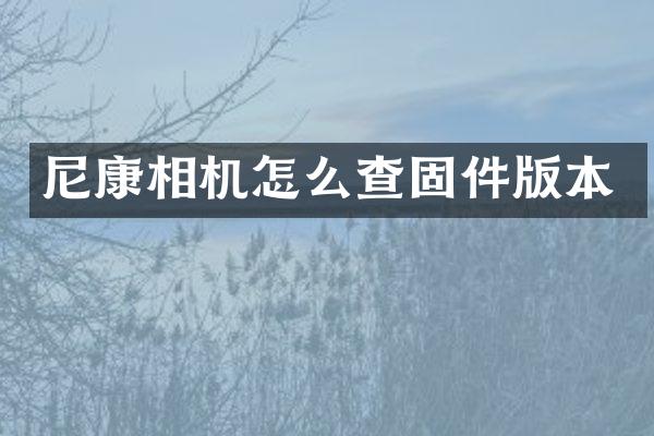 尼康相机怎么查固件版本
