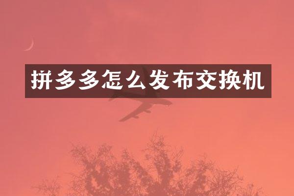 拼多多怎么发布交换机