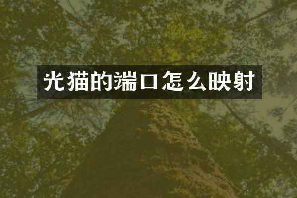 光猫的端口怎么映射