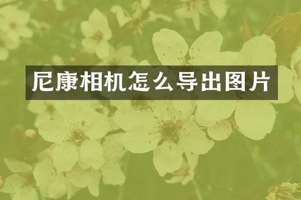 尼康相机怎么导出图片