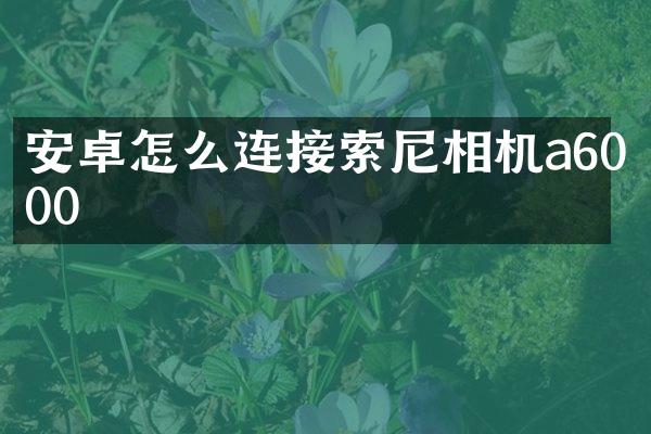 安卓怎么连接相机a6000