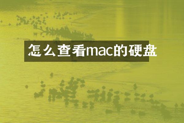 怎么查看mac的硬盘
