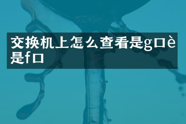 交换机上怎么查看是g口还是f口
