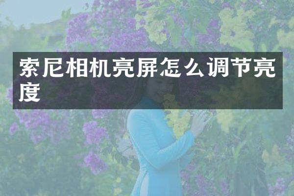 相机亮屏怎么调节亮度